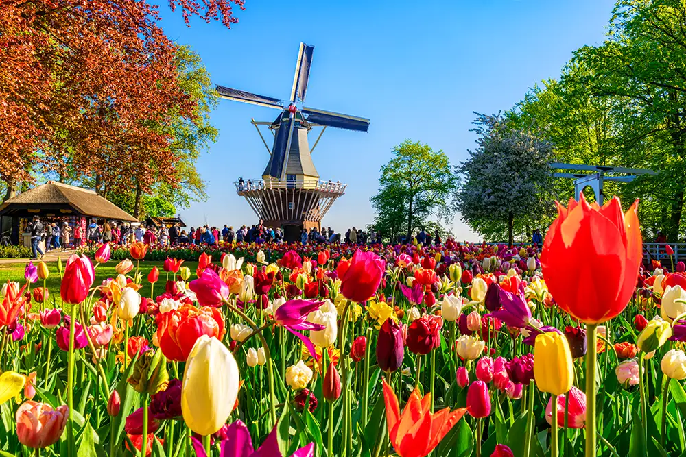 iStock-1556245500-HEADER_MOBILE