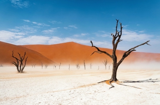 Deadvlei