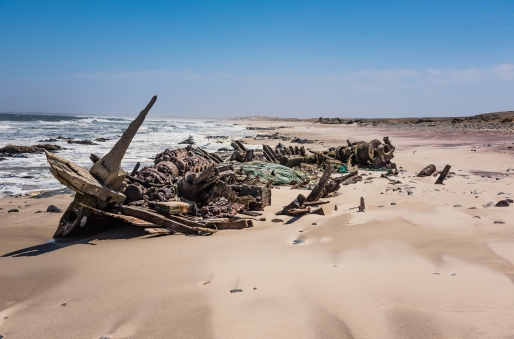 Skeleton Coast