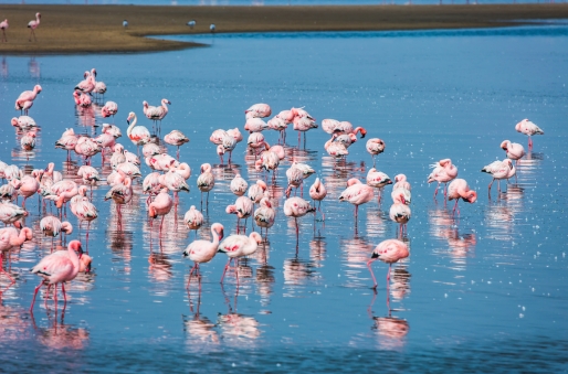 Swakopmund
