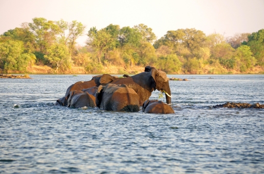 Zambezi River